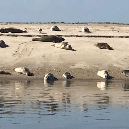 Trekvogels Hoern Dornum Εξωτερικό φωτογραφία